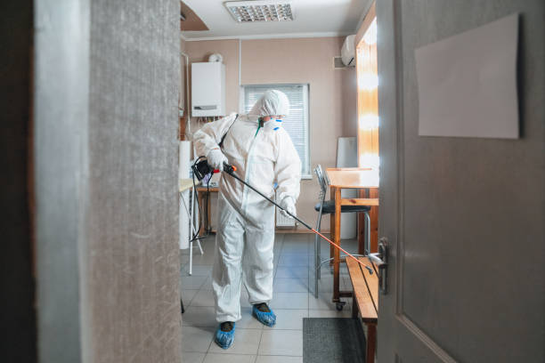 Best Post-Construction Mold Inspection  in Roseau, MN