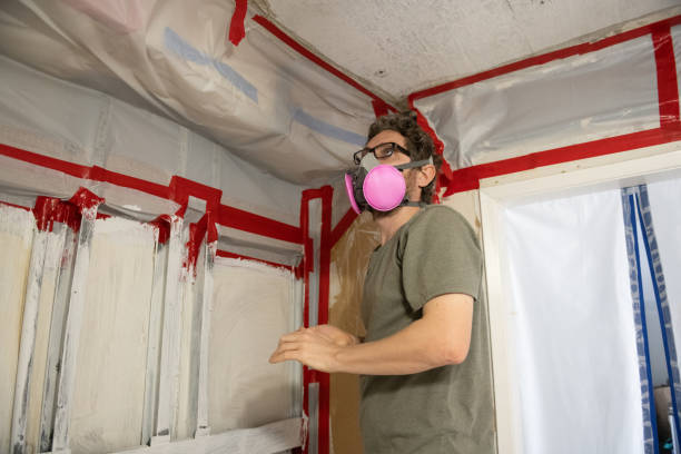 Best Mold Damage Restoration  in Roseau, MN