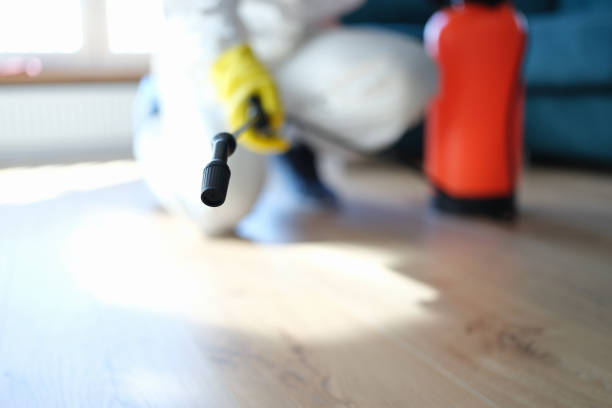 Roseau, MN Mold Removal Company