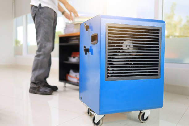 Best Biohazard Mold Removal  in Roseau, MN
