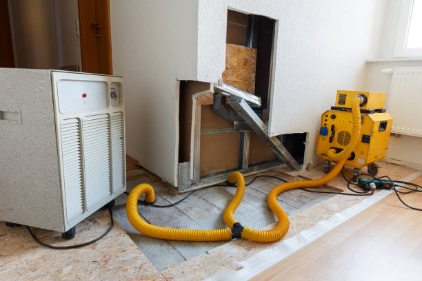 Best Mold Prevention Services  in Roseau, MN